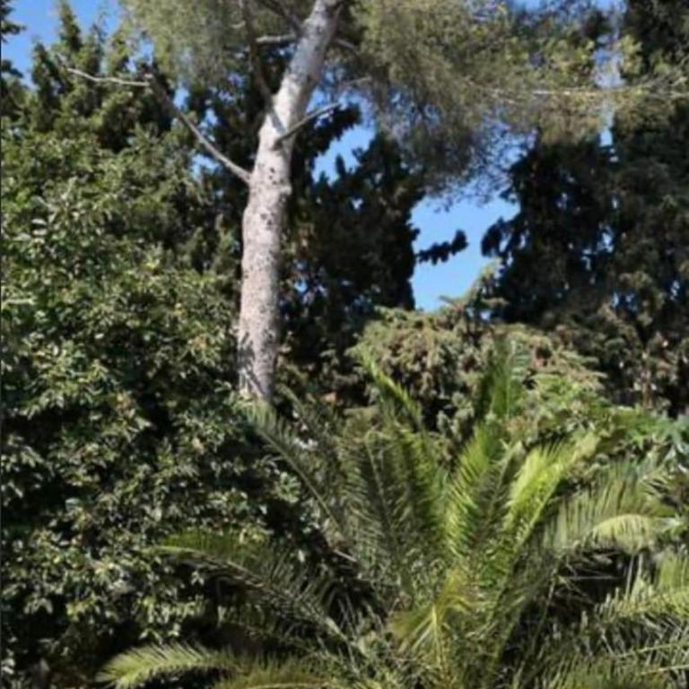 Maison familiale les Sablettes près de la mer - Haus mit 3 Schlafzimmern - 9