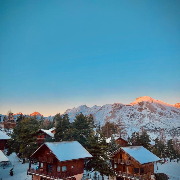 La joue du loup, aux pieds des pistes et vue sur montagnes - Apartamento de 1 dormitorio - 6