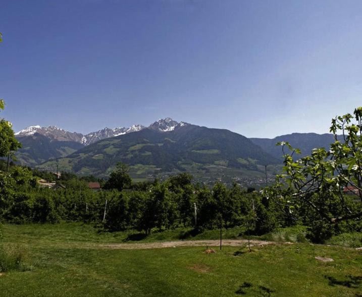 Residence Streitlhof - Appartement - Vue sur Jardin - 3