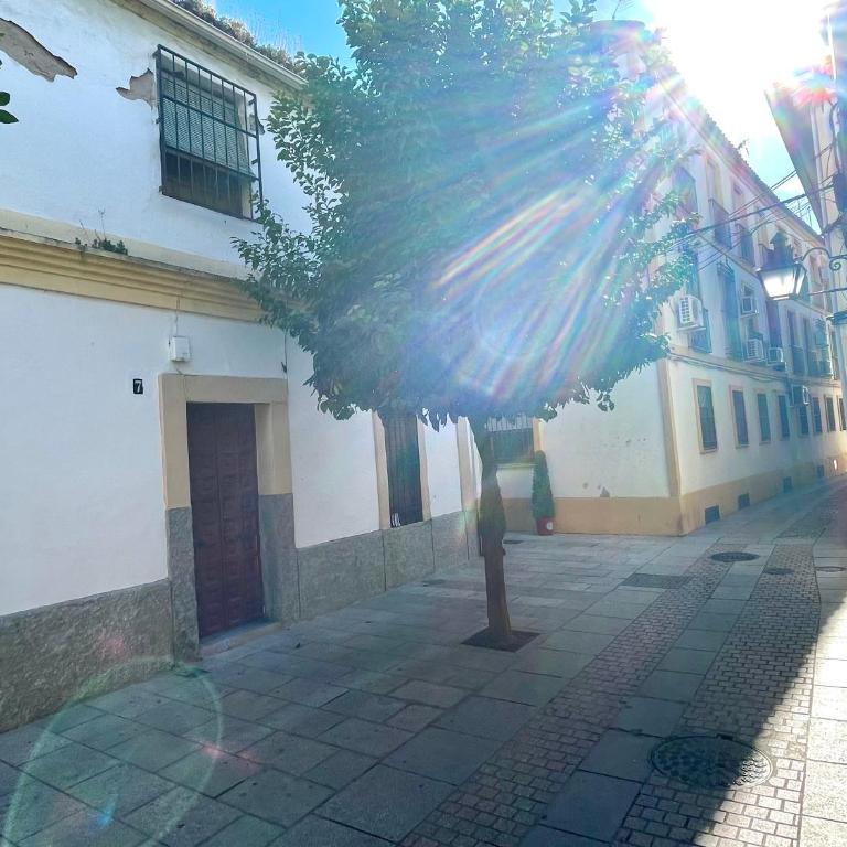 Geysotur Tinte Suites - Apartamento de 2 dormitorios - 19