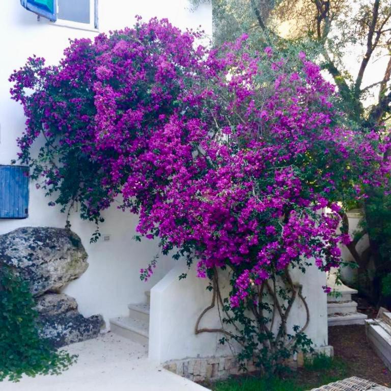 Luxury Ostuni Beachfront Villa with Pool & Private Parking - Villa - 39