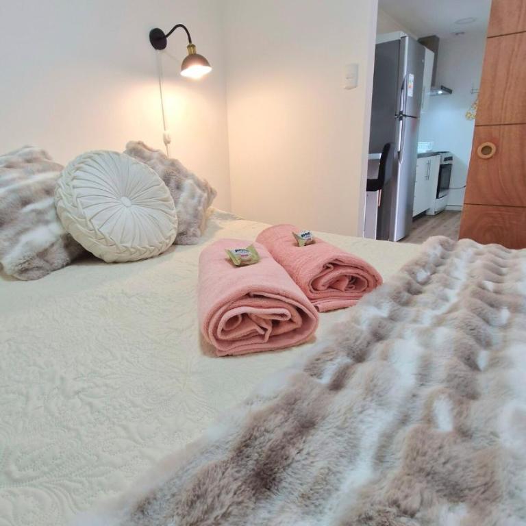 Beautiful Independent House - One-Bedroom House - 3