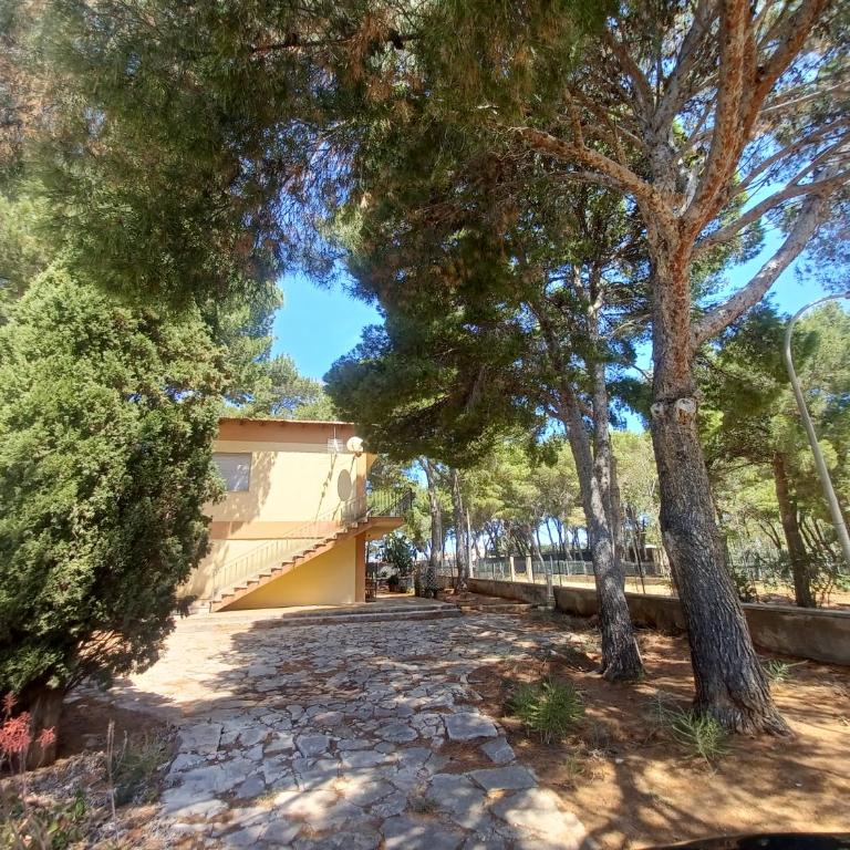 Villa con Pineta per Famiglie - Villa con 2 Camere da Letto - 5