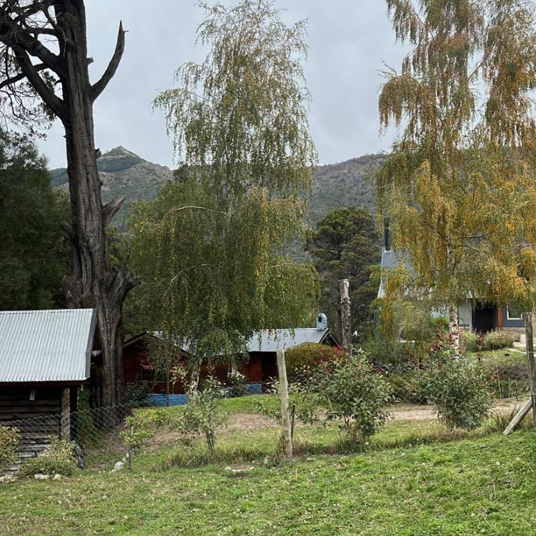 Cabaña Vista al OTTO y parque de cipreses y ñires - One-Bedroom House - 23