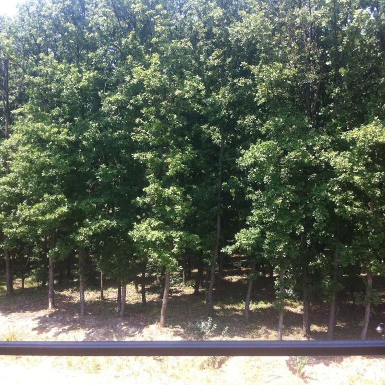 Apartman Sanja 2 - One-Bedroom Apartment - 12