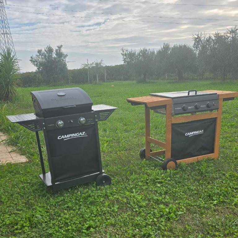 Agricampeggio AL CIELO STELLATO - Empty lot/Piazzola vuota (bring your own tent/caravan/autocamper) - 7