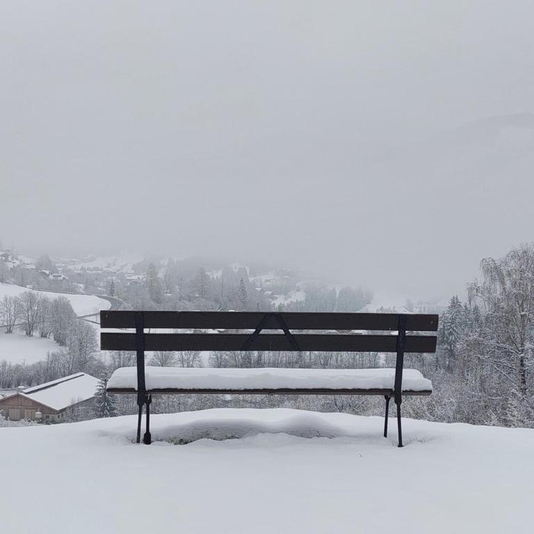 Apartment Una Bad Kleinkirchheim - Apartment mit 1 Schlafzimmer - 34