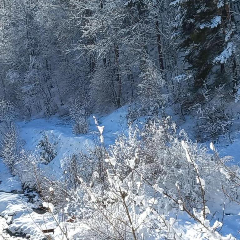 Mansarda Bardonecchia - Appartamento Monolocale - 22