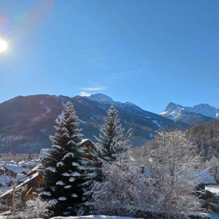 Mansarda Bardonecchia - Appartamento Monolocale - 23