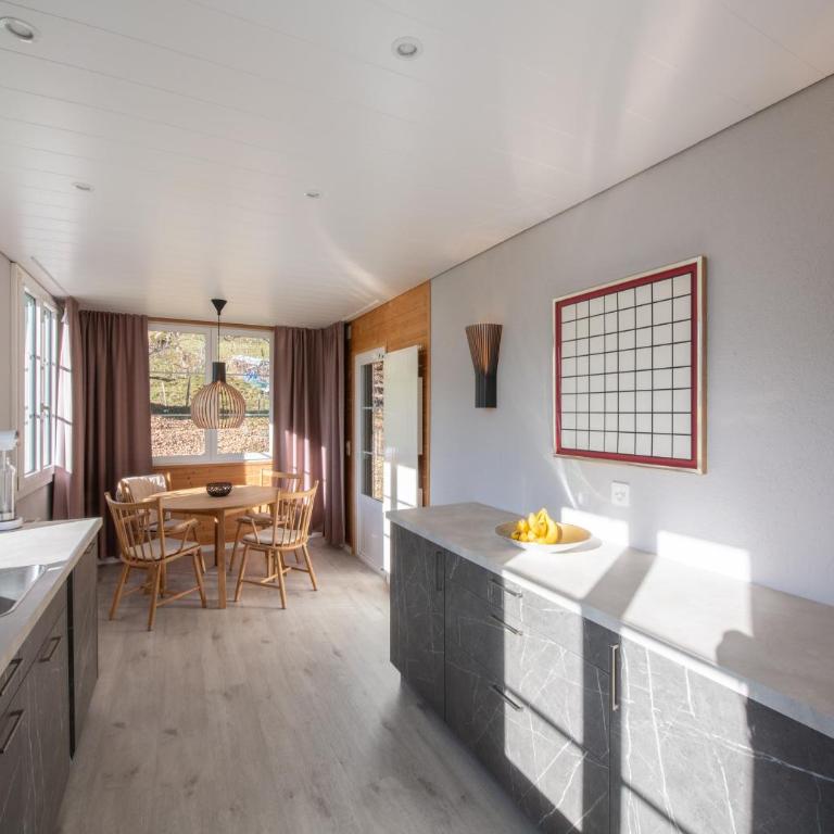 Chalet Hunnenfluh Garden Apartment - Superior Apartment - 10