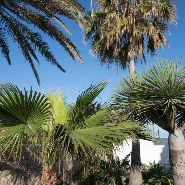 'Casa Ola' Relax in style by the sea - Apartamento de 1 dormitorio - 22