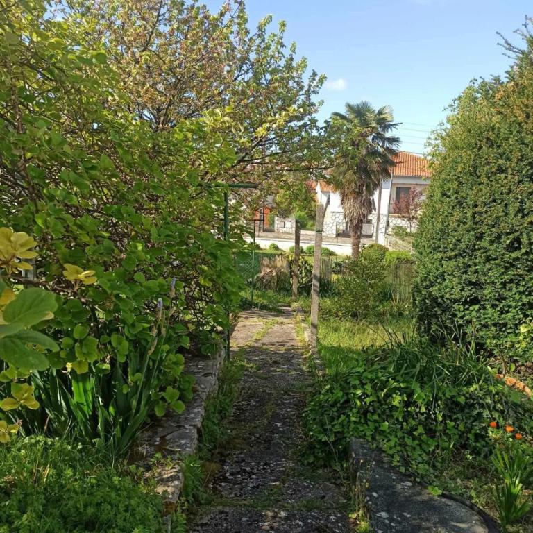 Maison calme à un 15min à pied de la plage - Three-Bedroom House - 13
