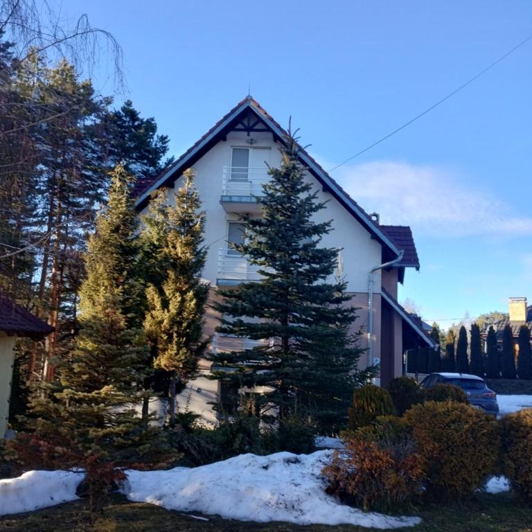 Apartman Šumski San - Apartman sa 1 Spavaćom Sobom - 9