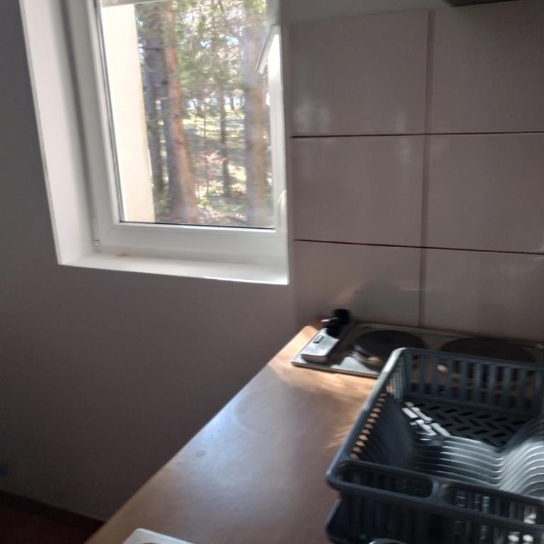 Apartman Šumski San - Apartman sa 1 Spavaćom Sobom - 34