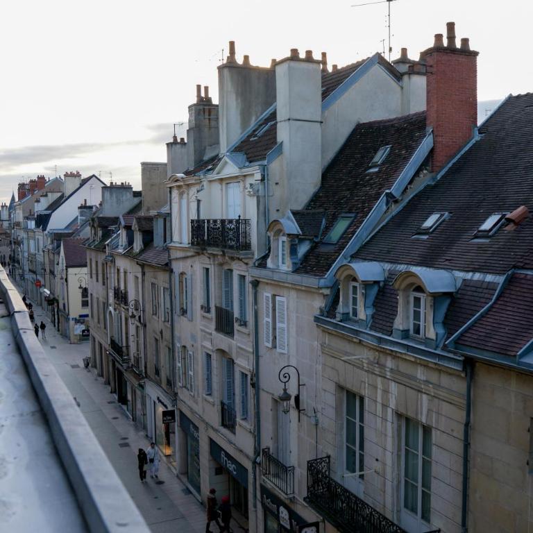 Dijon Hypercentre - Loge Pompon - One-Bedroom Apartment - 31