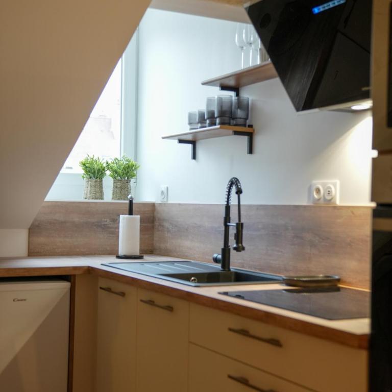 Dijon Hypercentre - Loge Pompon - One-Bedroom Apartment - 13