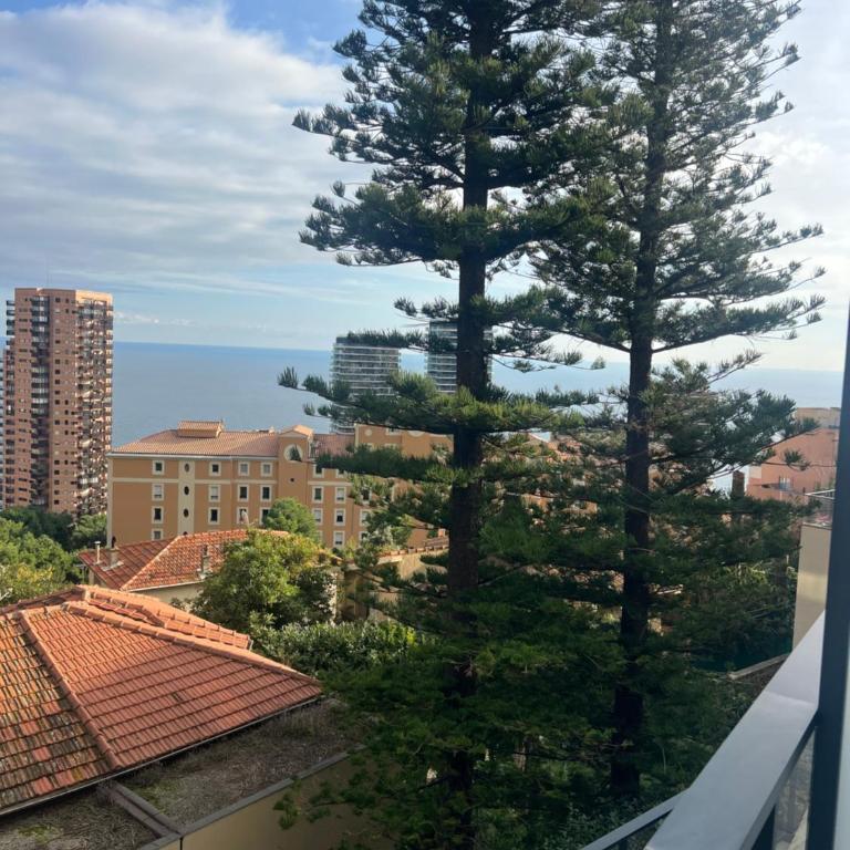Monte Coast View - Luxe & Pleine Vue Mer - Aux Portes de Monaco - Appartement 1 Chambre - 24