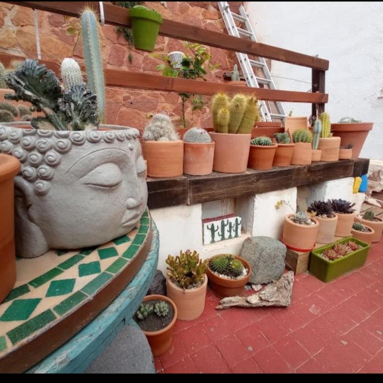 casa pura vida - Apartamento de 1 dormitorio - 7