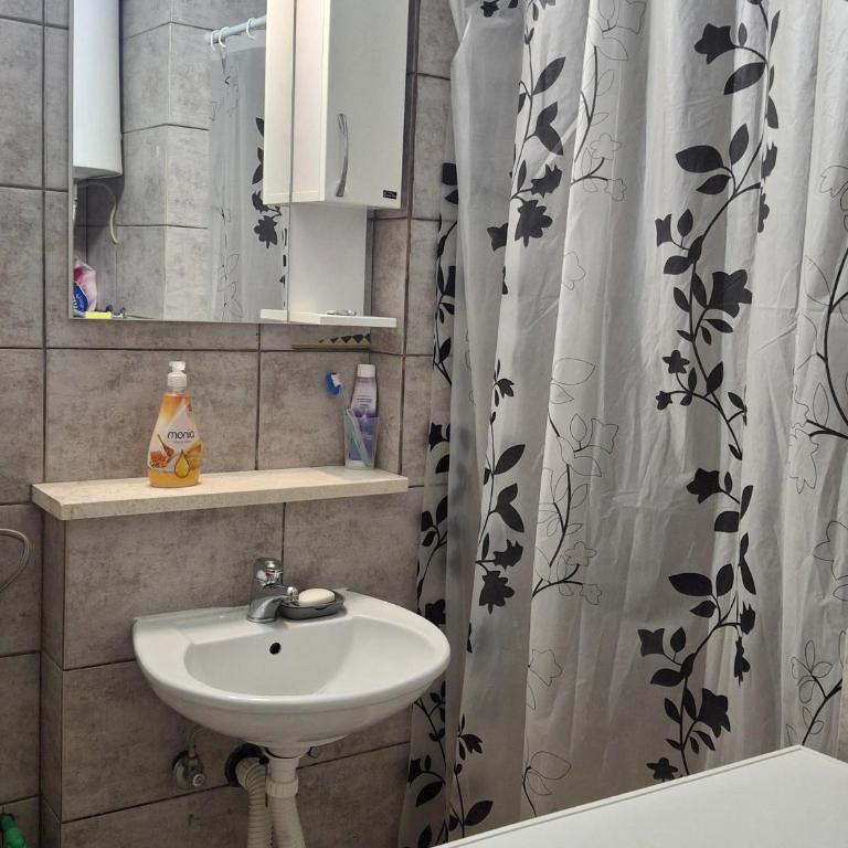 Apartments D&D Sutomore - Apartman sa 1 Spavaćom Sobom - 10