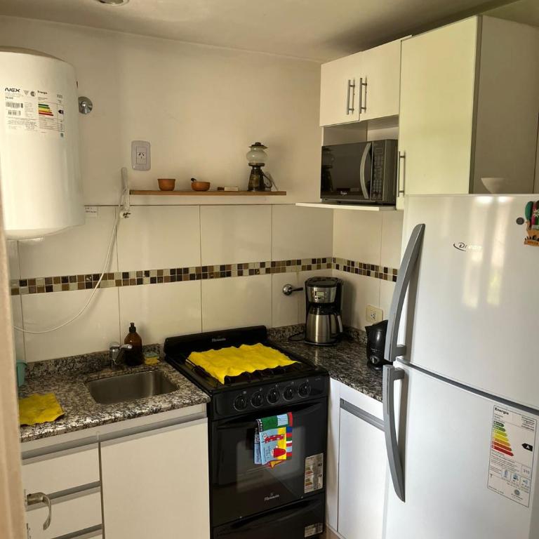 Departamento en Barrio Sur - One-Bedroom Apartment - 30