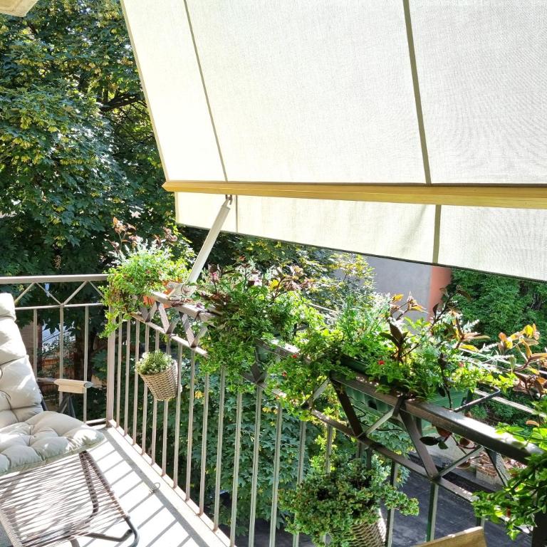 Mancini 1 - Gran Madre - Two-Bedroom Apartment - 28