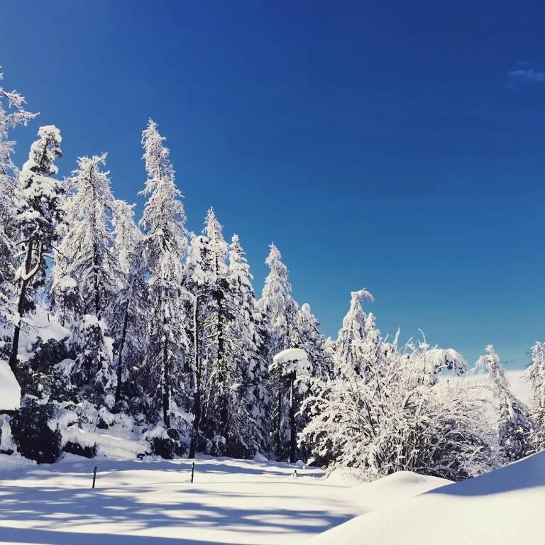 Les 3 flocons - Chalet 2 Chambres - 9