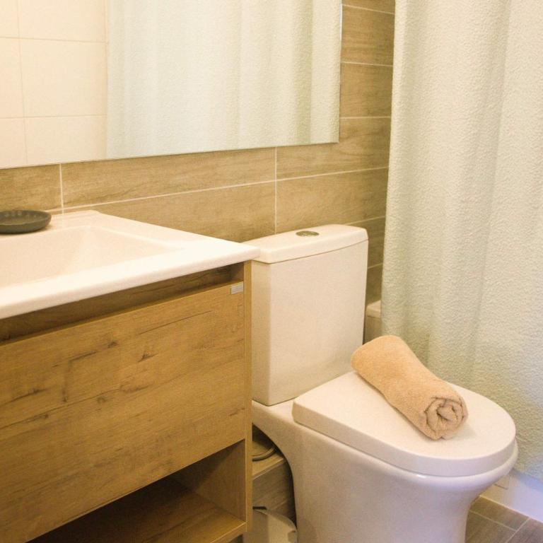 HOM I Depto 1D1B Santiago Cerca del Movistar Arena - Apartamento - 43