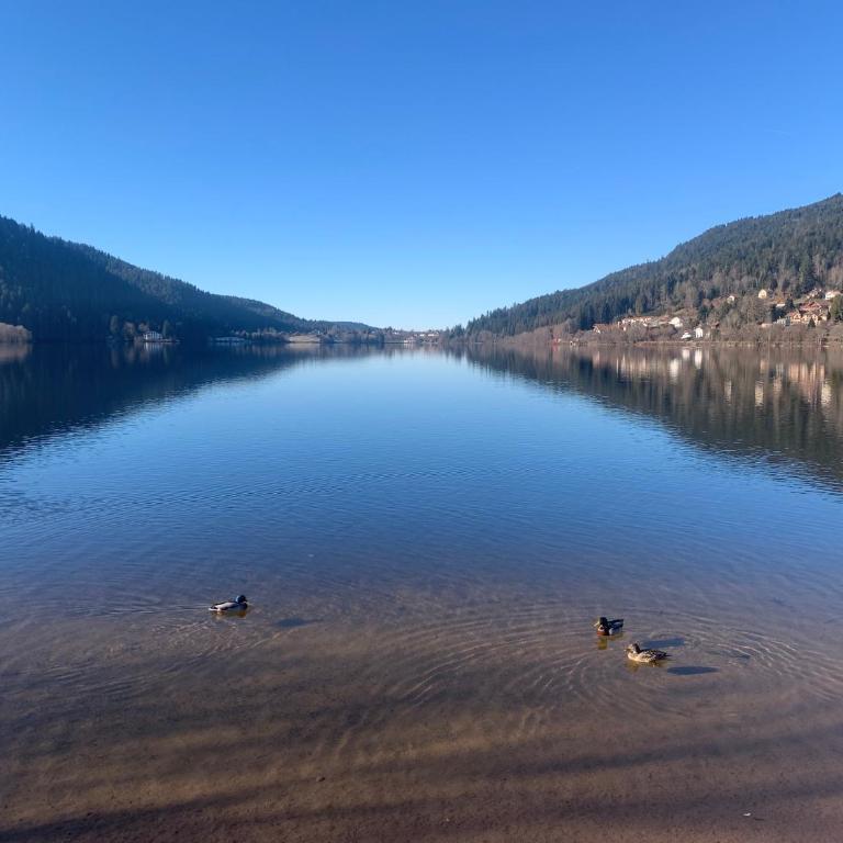 Appartement avec 2 chambres et séjour balcon plein sud et une vue panoramique 180 a GERARDMER - Appartement 2 Chambres - 10