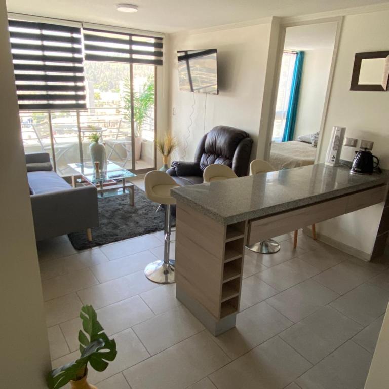 Hermoso Departamento con excelente vista, a pasos de la Quinta Vergara, cercano a Reloj de Flores y Playa Caleta Abarca - Two-Bedroom Apartment with View - 5