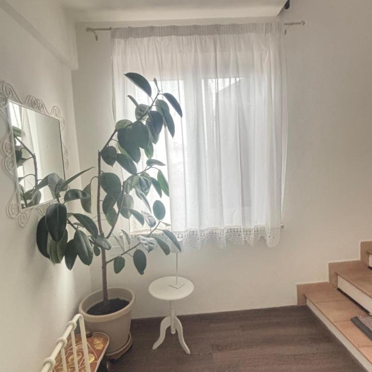 Trento Green - Two-Bedroom Apartment - 20