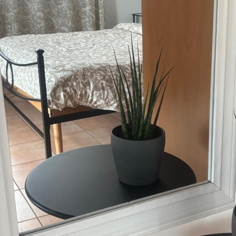 Trento Green - Two-Bedroom Apartment - 10