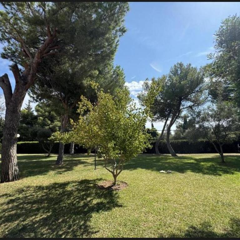 Casa de Madera 2 - Two-Bedroom Apartment - 32