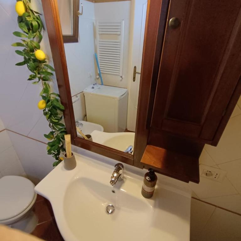 Casetta Il Limone - San Filippo - Gemelli - Apartment mit 1 Schlafzimmer - 29