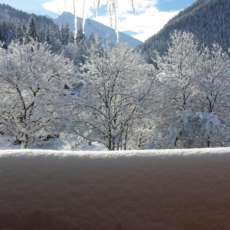 Studio Lachat - Centre village, vue montagnes - AravisTour - Studio - 12