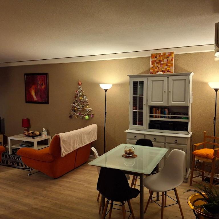 Appart 3 pieces cosy avec parking proche centre ville - Appartement 2 Chambres - 19