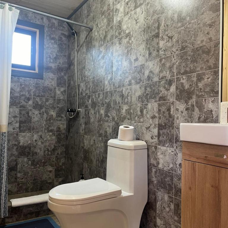 Cabañas Doña Regina - Apartamento Deluxe de 2 dormitorios con balcón - 5