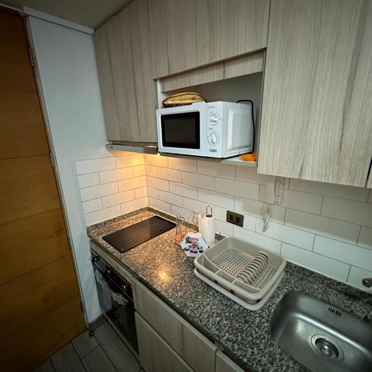 Loft sorprendente con Gym en comuna Independencia - Apartamento de 1 dormitorio - 8