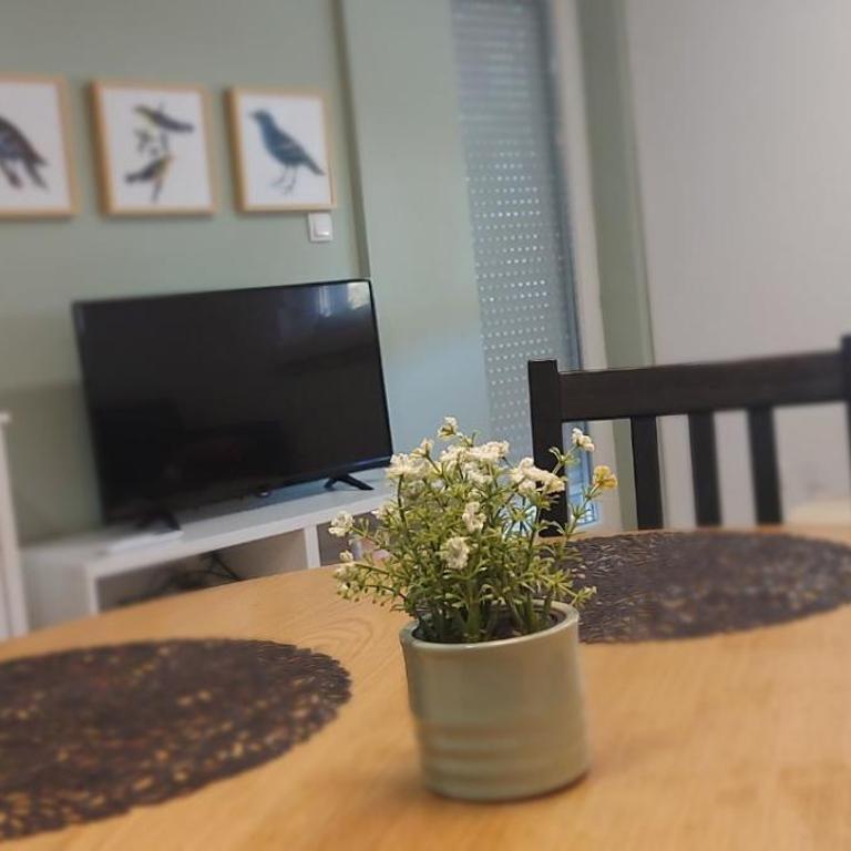 Apartman Fonte Vrnjačka Banja - Appartement 1 Chambre - 6
