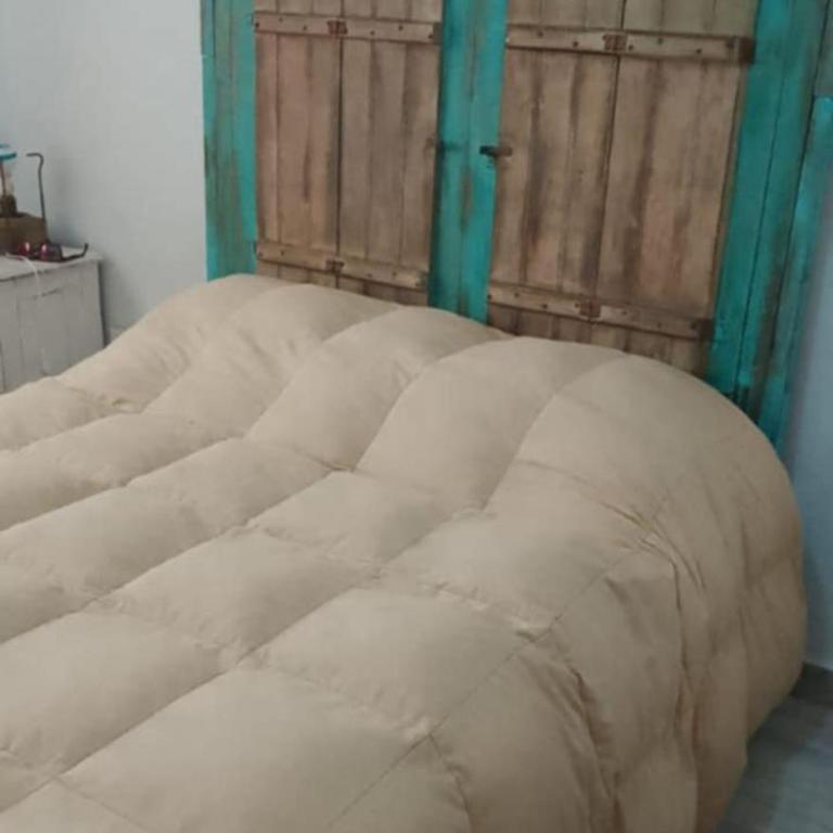 Departamento Paiguen - Apartamento Clásico - 1