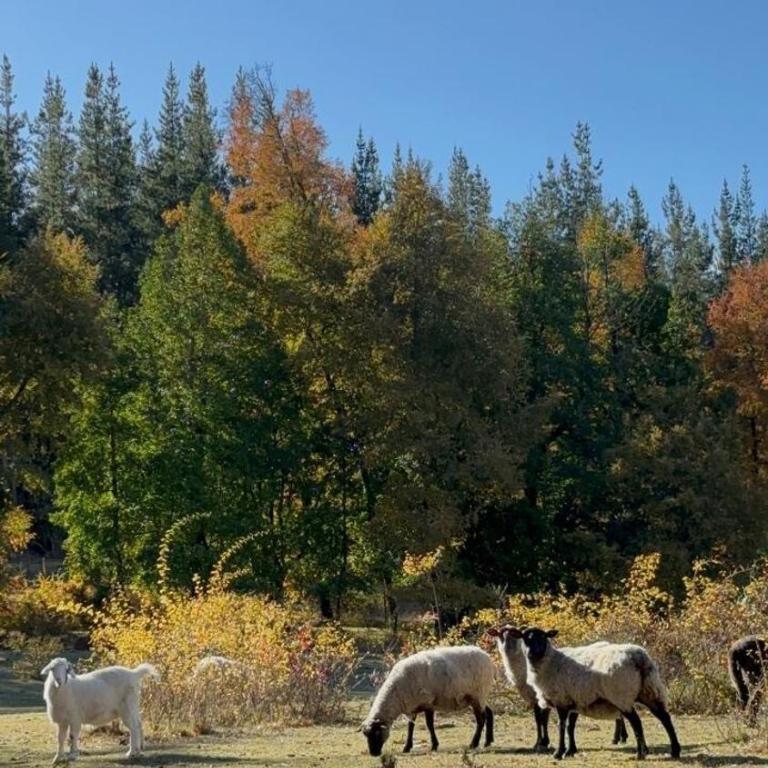 Acogedora Casa de Campo para 10 Personas - Four-Bedroom House - 8