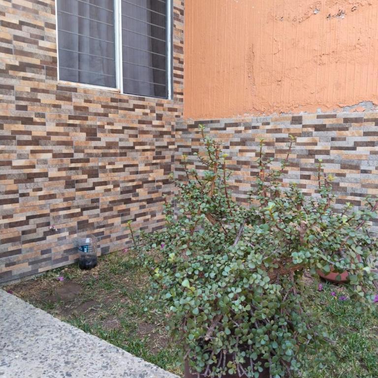 Casa Sierra - Apartamento de 2 dormitorios - 5