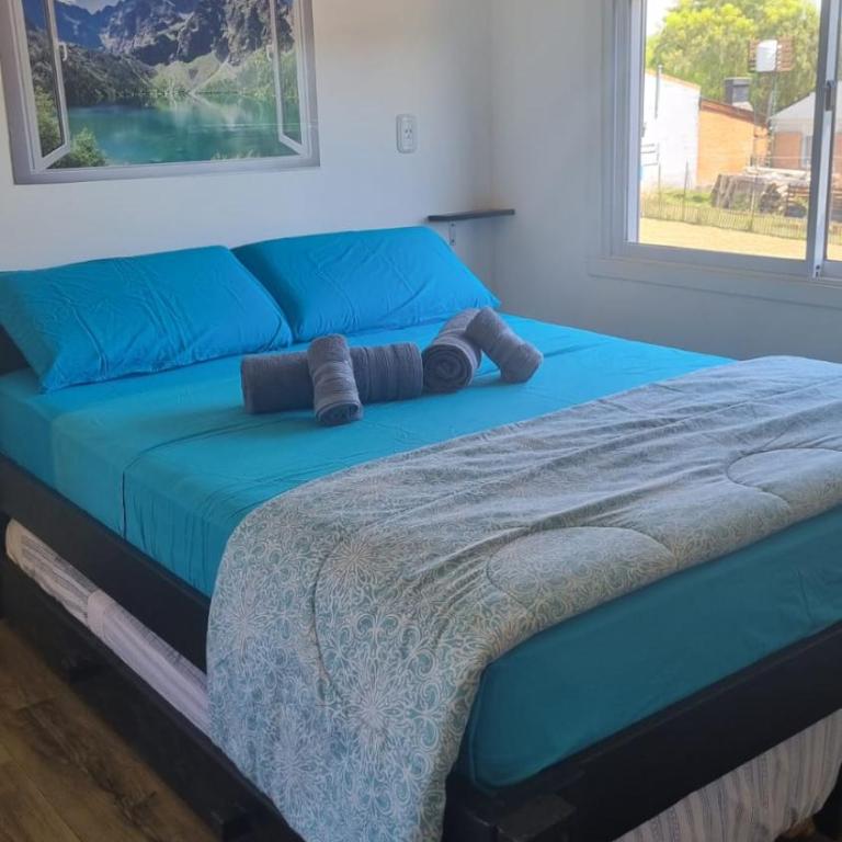 Naturaleza & Confort - Apartamento Suite - 1