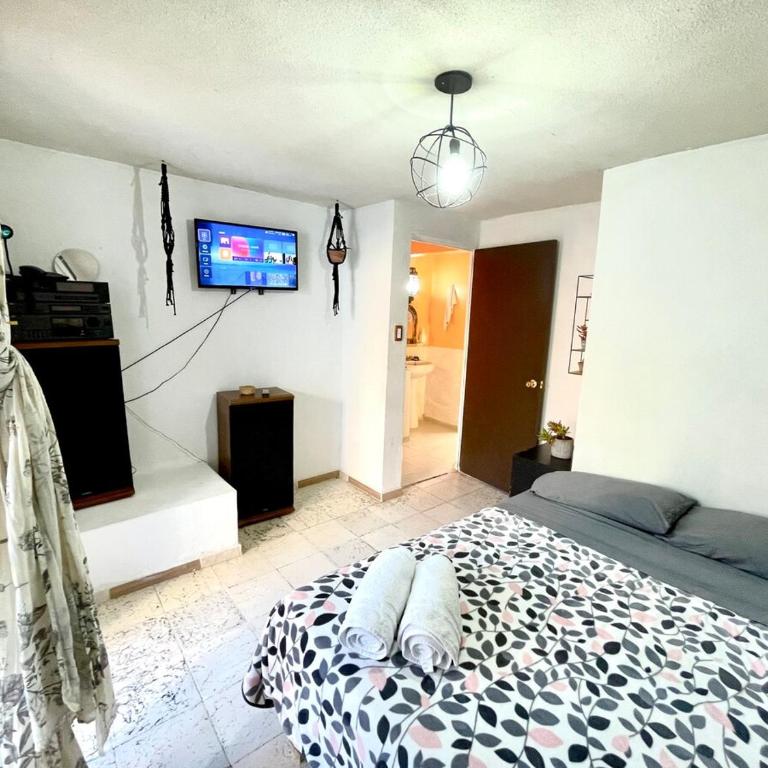 Apartment with terrace near downtown - Two-Bedroom Apartment with Terrace - 13
