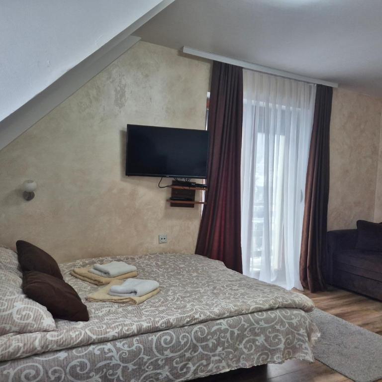 Apartments Vila Djurdja - Apartment with Terrace - 3