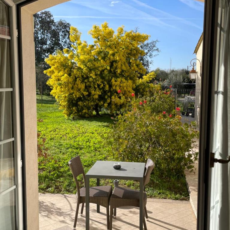 Chambre d'hôtes "La Bastide des Eucalyptus" - Chambre Double avec Terrasse - 5