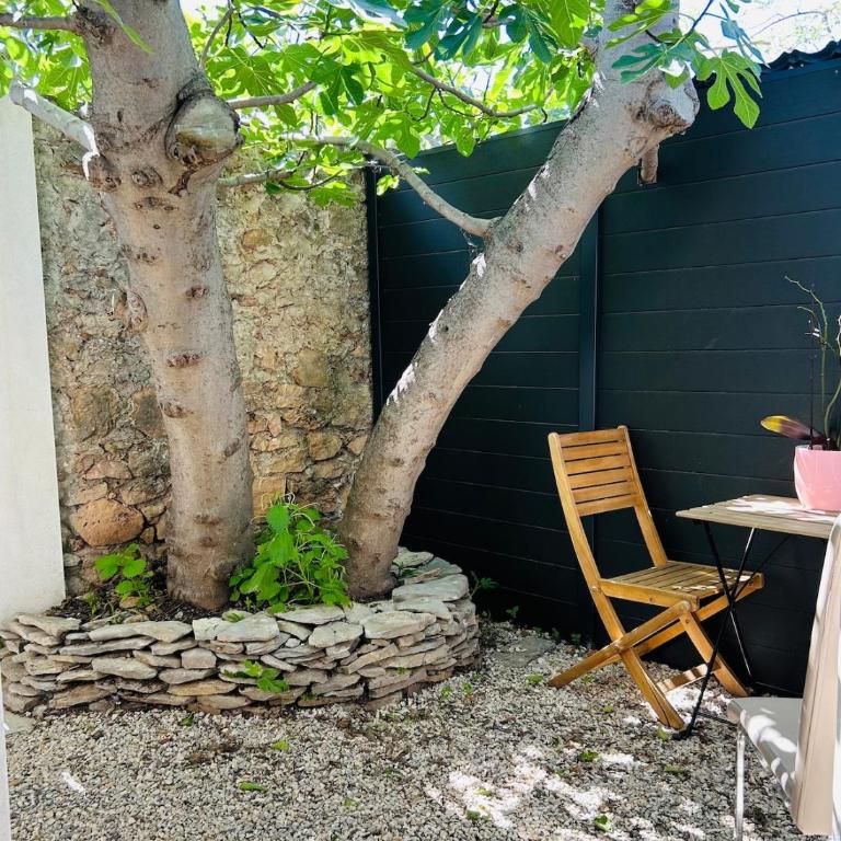 Studio avec Jardin - Appartamento con 1 Camera da Letto - 3