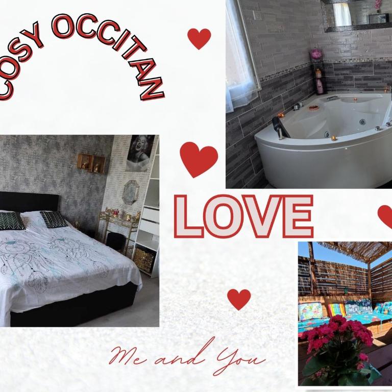 Le Cosy Occitan villa chaleureuse indépendante baignoire terrasse jardin - Casa con 1 dormitorio - 5