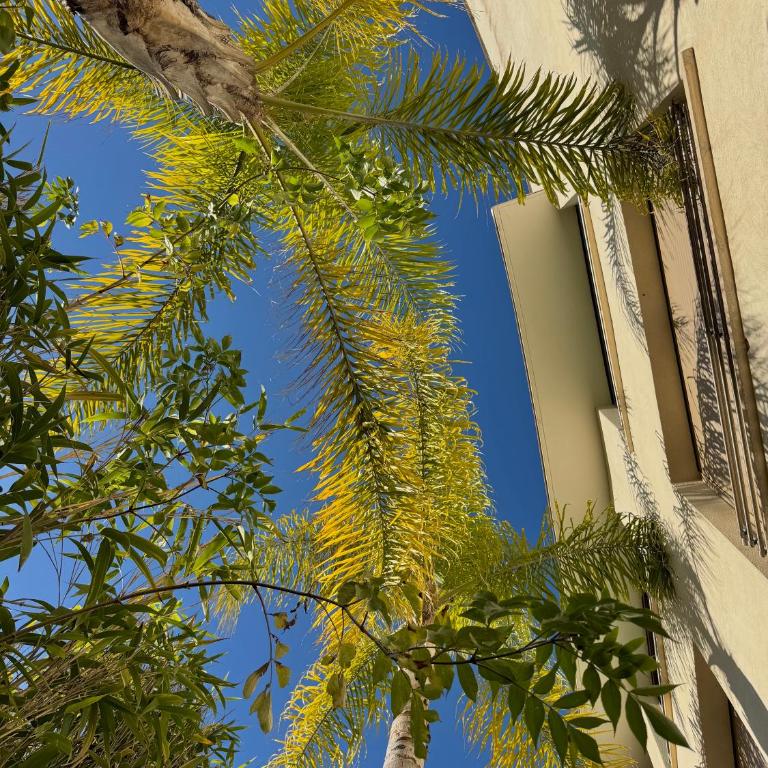 Cannes Villa St Barth - Chambre Double Deluxe avec Terrasse - 10