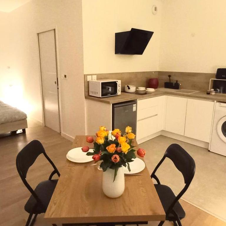 Grand studio parking-bord de Loire- hyper centre - Apartment with City View - 8