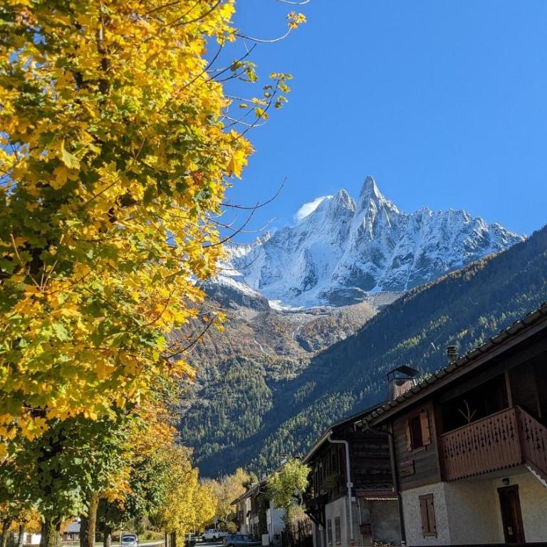 Bright, warm 2BR 2min to gondola, private garden - Appartement 2 Chambres avec Vue sur la Montagne - 14